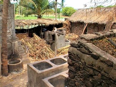 Sugar Cane Artisanal Manufacture