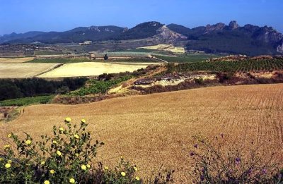 Traditional Fields of Spain