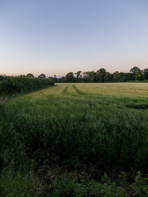 Napsbury Park