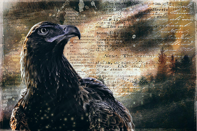 eagle
