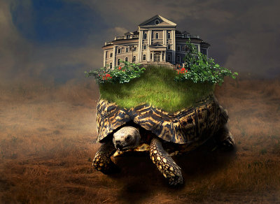 Featured Gallery