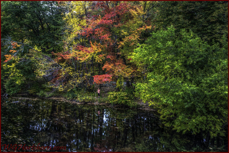 Reflections of Milford 