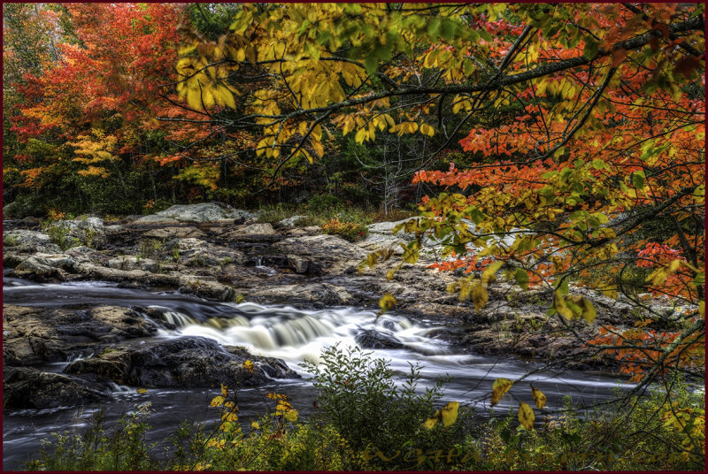 Creekside Autumn Splendor