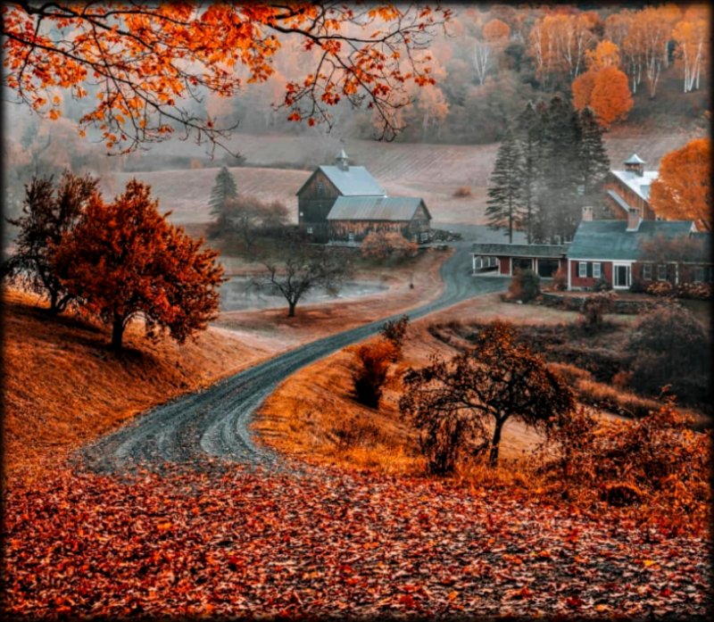 Sleepy Hollow Autumn 🍁