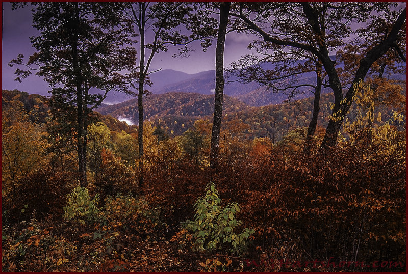 Smokey Mountains Autumn Light