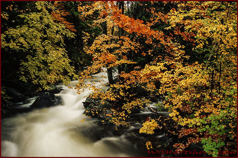  Creekside Autumn