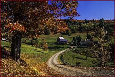 Sleepy Hollow Farm 