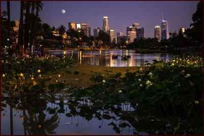 Echo Park Twilight