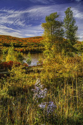 Autumn River View