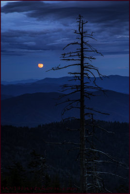 Smokey Mountain Moonlight