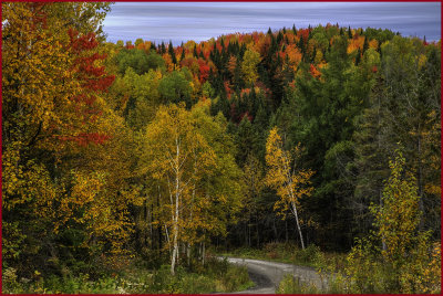 Backroad Autumn Splendor