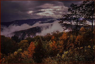 Smokey Mountain Foggy Splendor