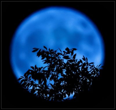 Blue Moon 🌛