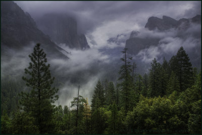 Misty Tunnel View