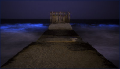 Blue Tide Playa Del Rey