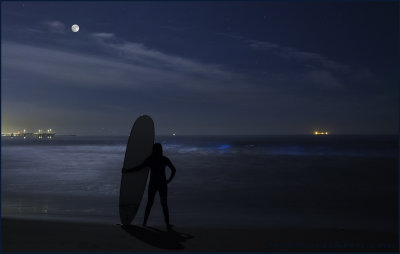Blue Tide Moonlight Surfer