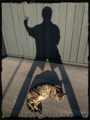 Shadows with Jag in Neverland