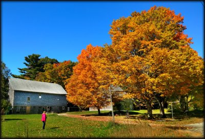 Backroad Autumn