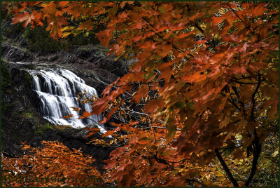 Ranney Falls Montreal