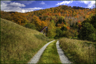 Autumn Backroad