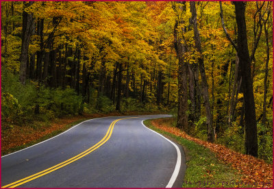 Windy Autumn Road