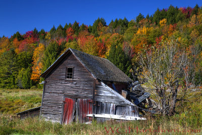 Autumn Homestead