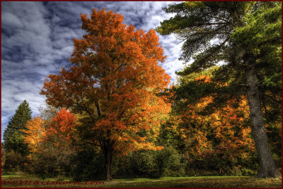 Autumn Backroad