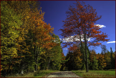 Autumn Backroad