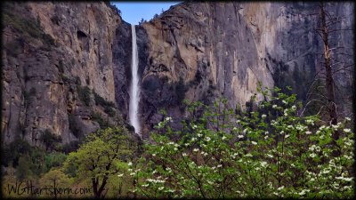 Bridalveil Falls 