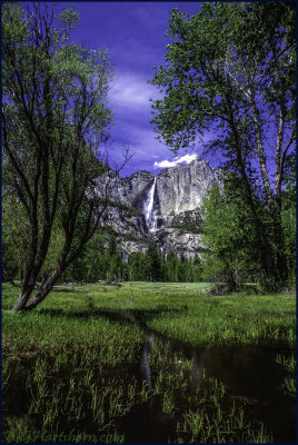 Yosemite Meadow Reflections