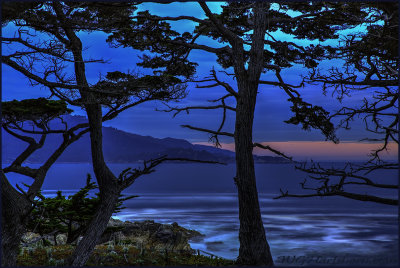 Cypress Point Twilight