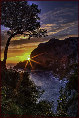 Capri Cove Sunset Starburst