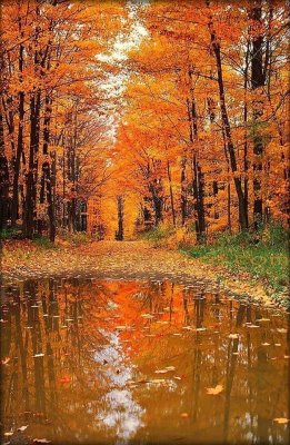 Reflections of Autumn Splendor 