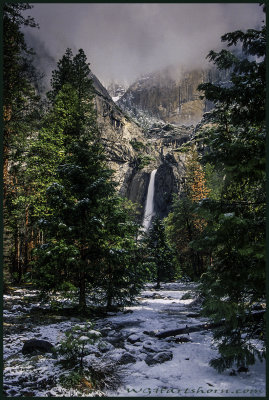 Yosemite Winter