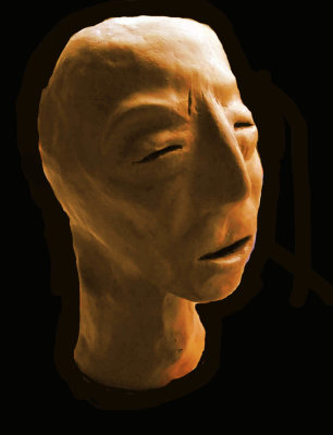 The Elder