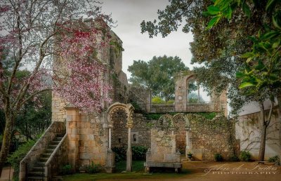 2019 - Public Garden of Évora, Alentejo - Portugal