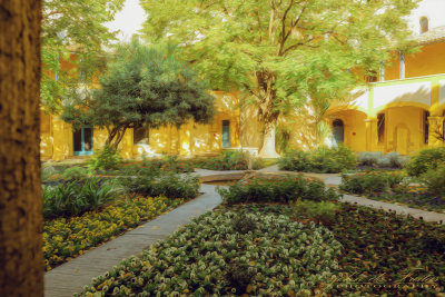 2019 - Vincent van Gogh - Garden of the Hospital in Arles, Provence - France