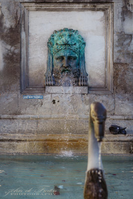 2019 - Arles, Provence - France