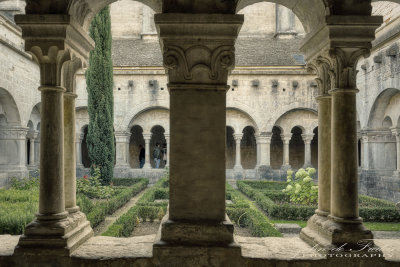 2019 - Abbaye Notre-Dame de Sénanque - Gordes, Provence - France