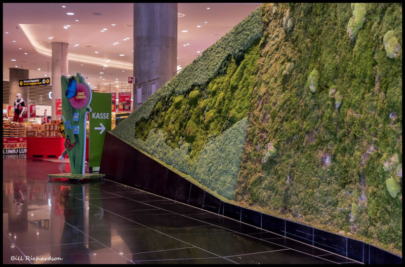 Oslo airport moss wall.jpg