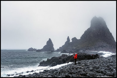 South Shetland Islands Fort Point foggy pillars.jpg