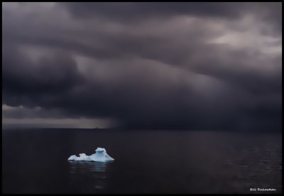 sunli iceberg.jpg
