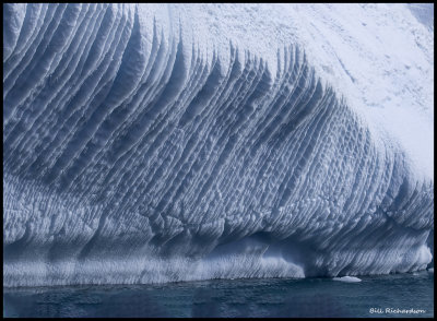 iceberg art.jpg