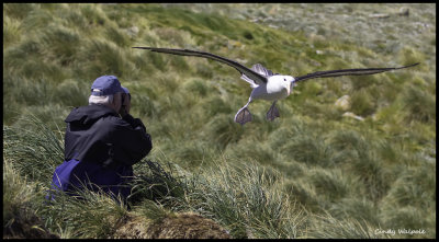 me and flying albatross.jpg