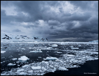 sea ice.jpg