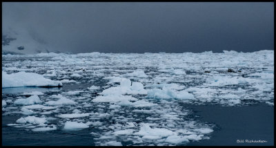 Thickening sea ice.jpg