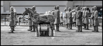 terra cotta army w horse.jpg