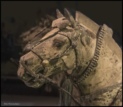 horse head side.jpg