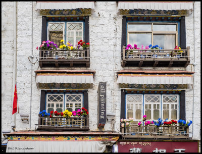 Tibet flower boxes.jpg