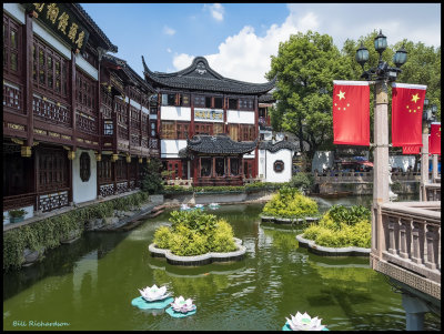 lotus pond.jpg